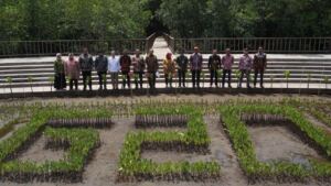Bersama Pemerintah dan Swasta, PTBA Dukung Rehabilitasi Mangrove