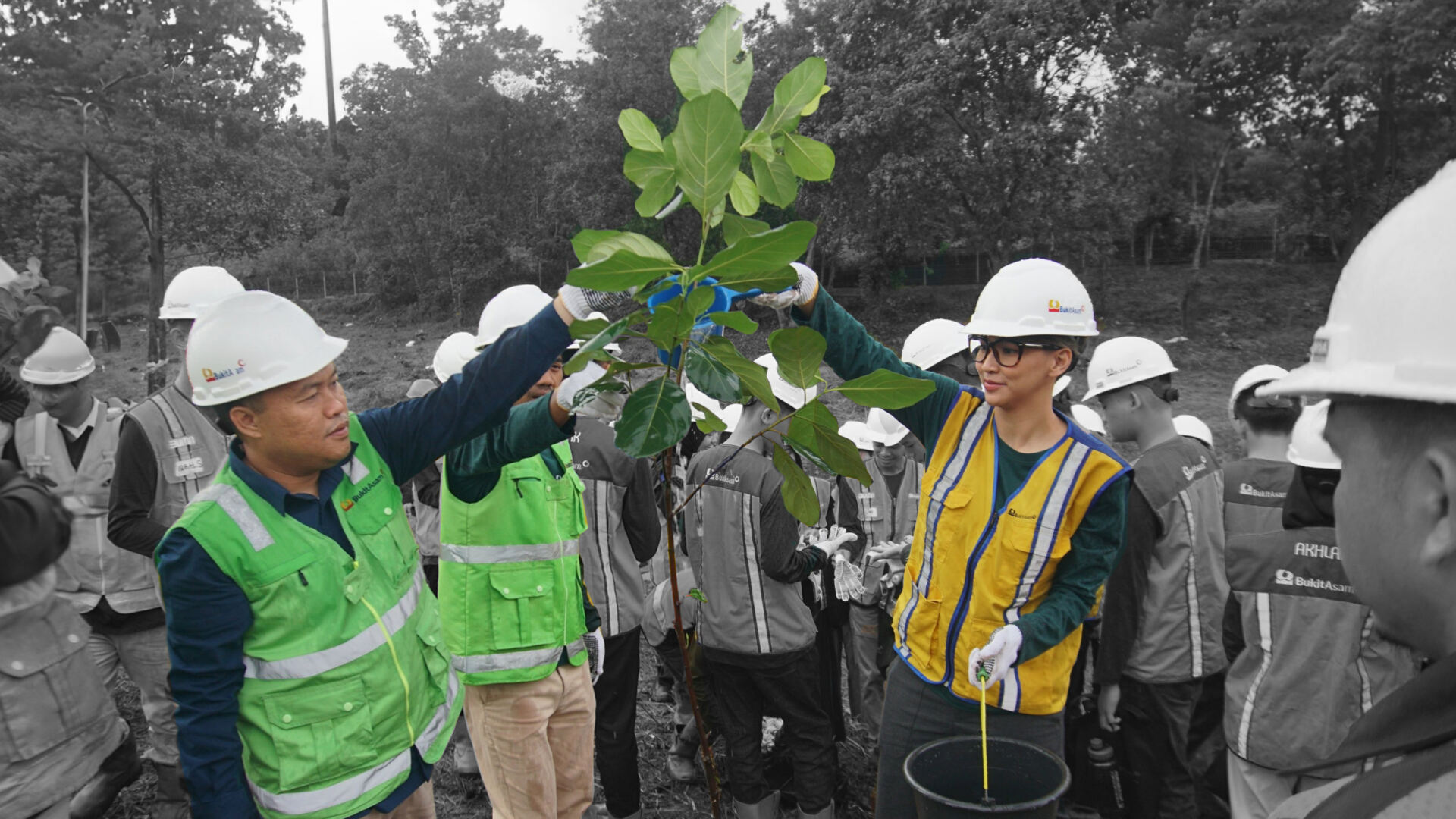 Cover Green Mining Cover Green Mining